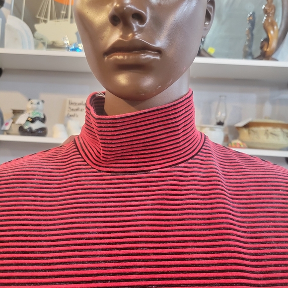 Black and Red Stripe Velour Dress - Picture 3 of 6